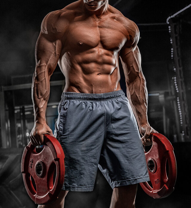 THE MARS THE FITNESS ARENA , BEST GYM IN MATHURA, GYM IN MATHURA